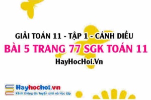Giải bài 5 trang 77 Toán 11 tập 1 SGK Cánh Diều